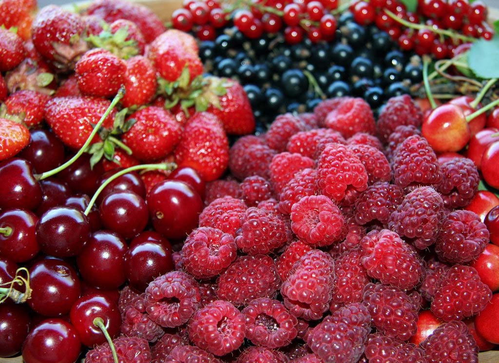 frutti rossi